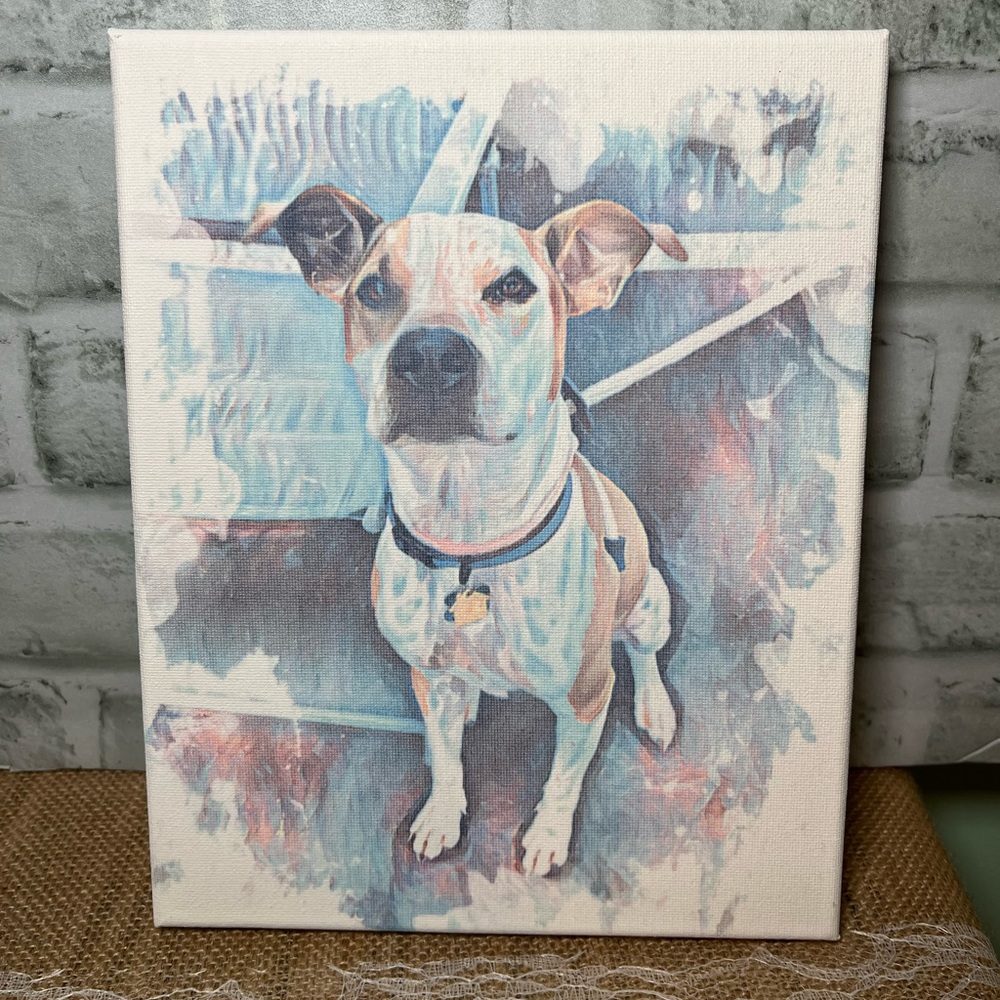 Colorful "Pitty” canvas